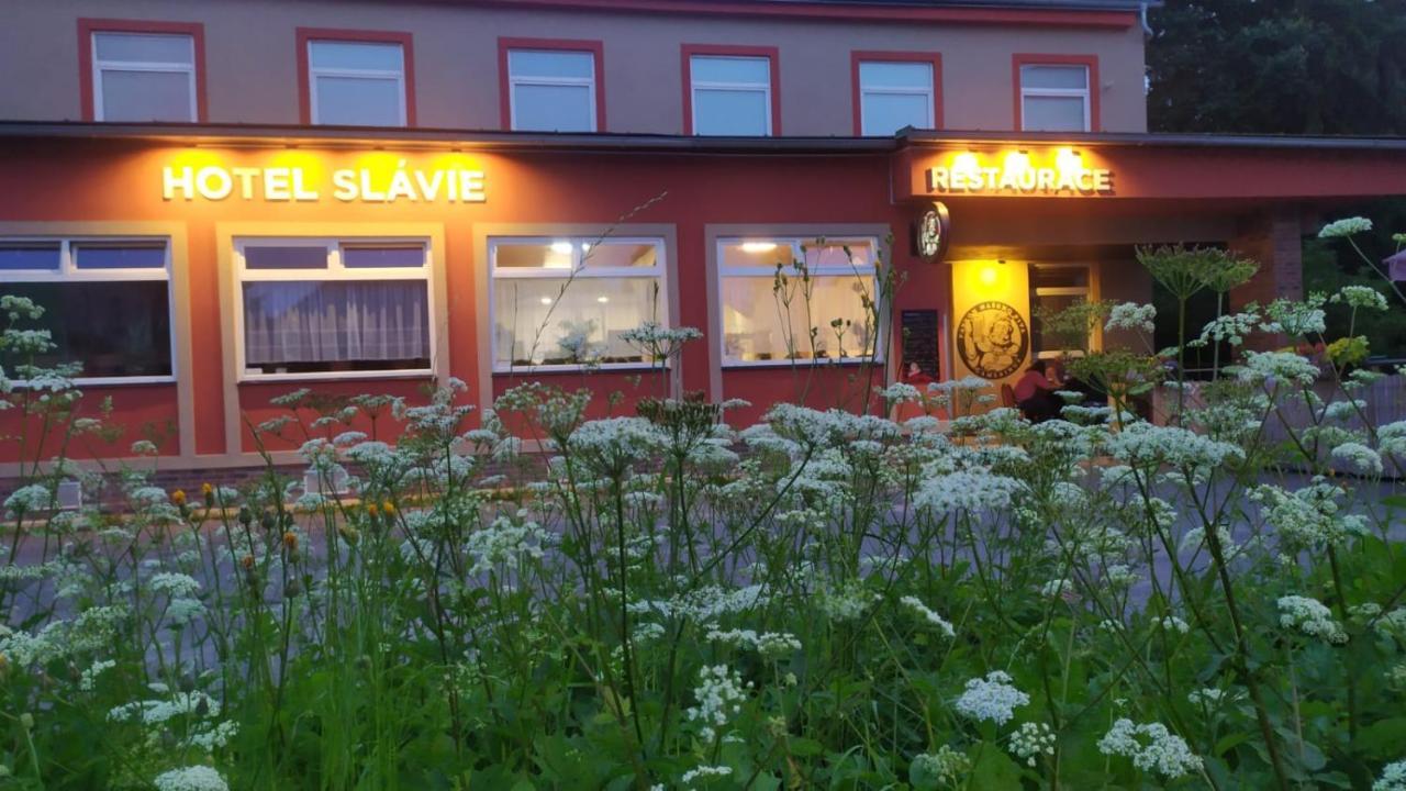 Slavie Apartment Trhova Kamenice
